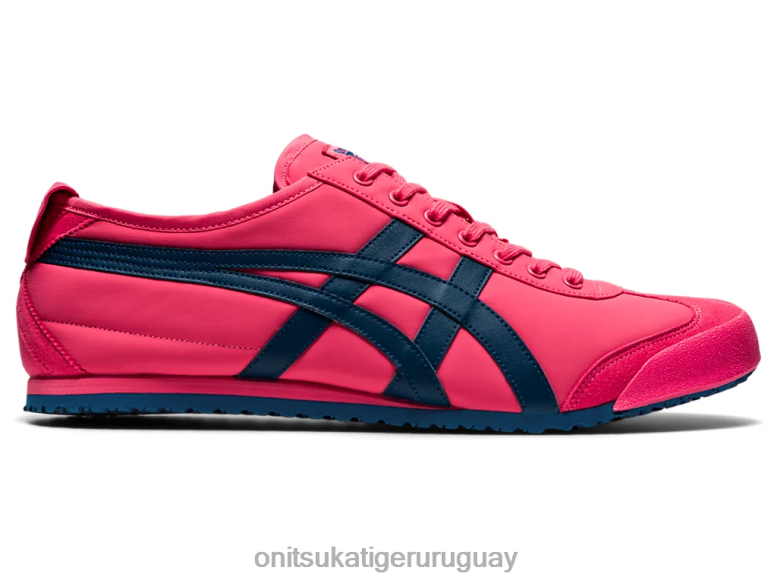 camafeo rosa/azul mako