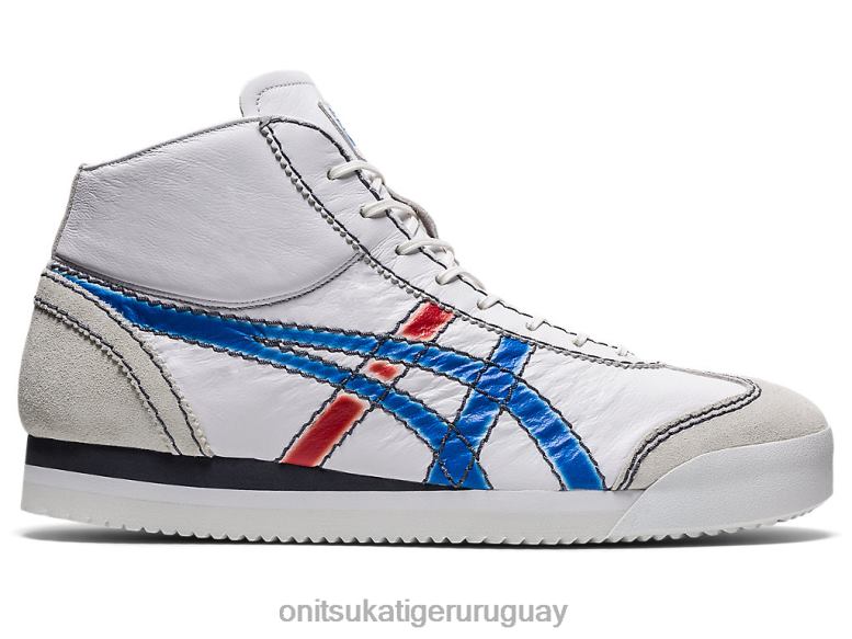 directorio blanco/azul